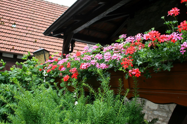 Охотничий домик в Германии