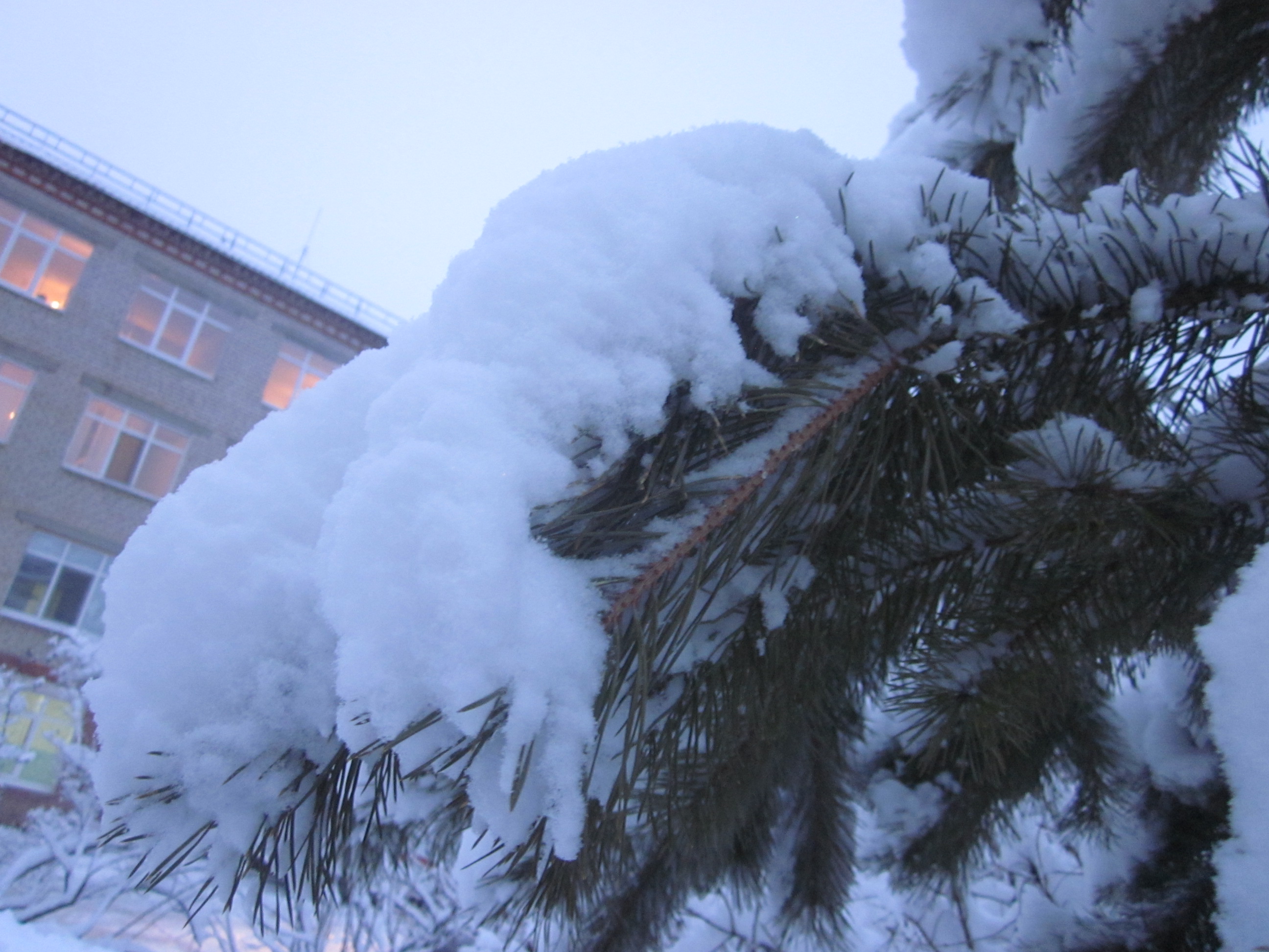 Вот токое 19 марта