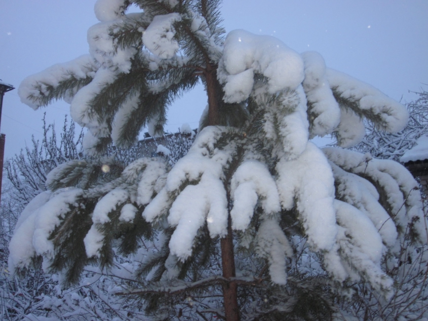 Вот токое 19 марта