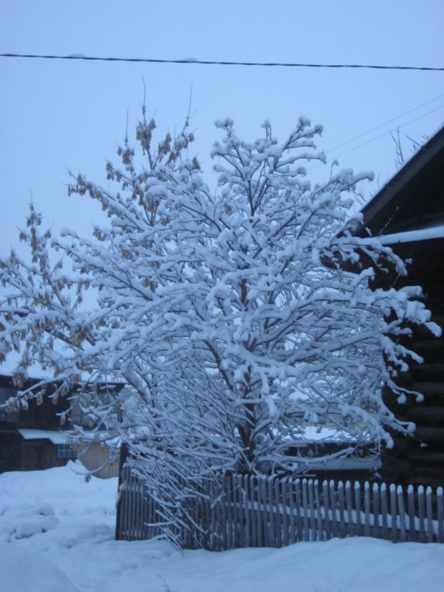 Вот токое 19 марта