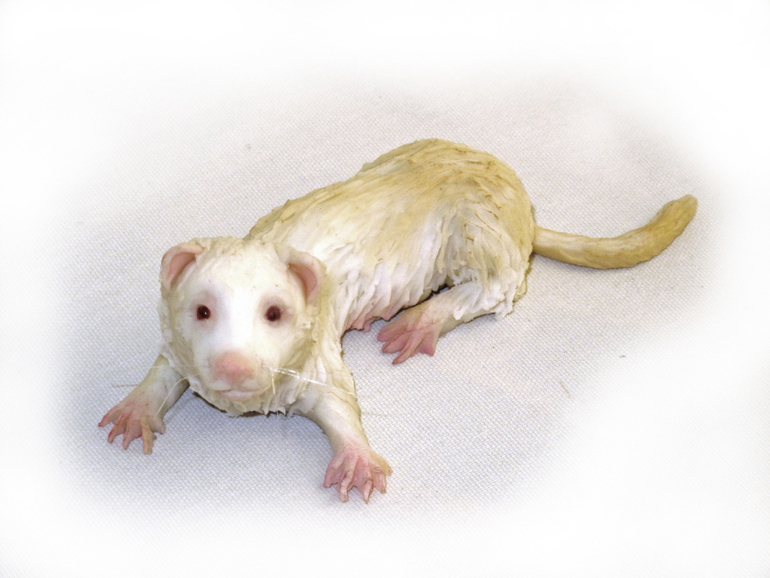 Зверье мое)