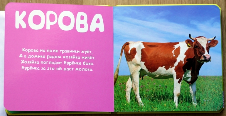 Отличные фотокнижки для малышей