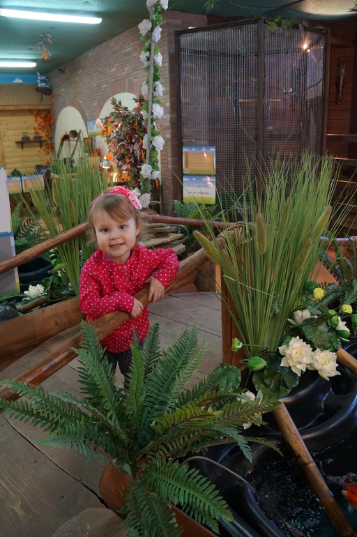 Майя 2 года. напамять