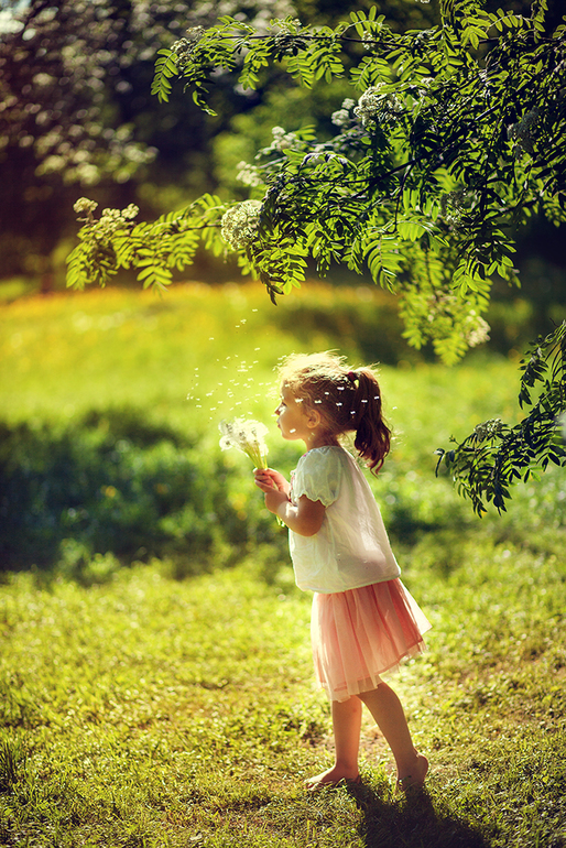 Одуванчиковый мёд