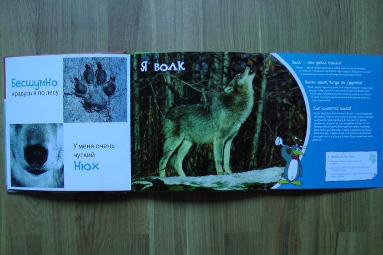 А у нас опять книжное пополнение...