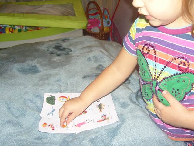 ТЗ Живые грибы