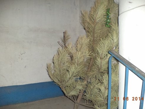 И такое бывает...