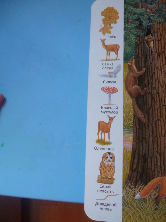 Первые книги малыша. Учим новые слова (бюджетные гляделки, много фото)