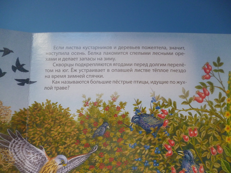 Первые книги малыша. Учим новые слова (бюджетные гляделки, много фото)