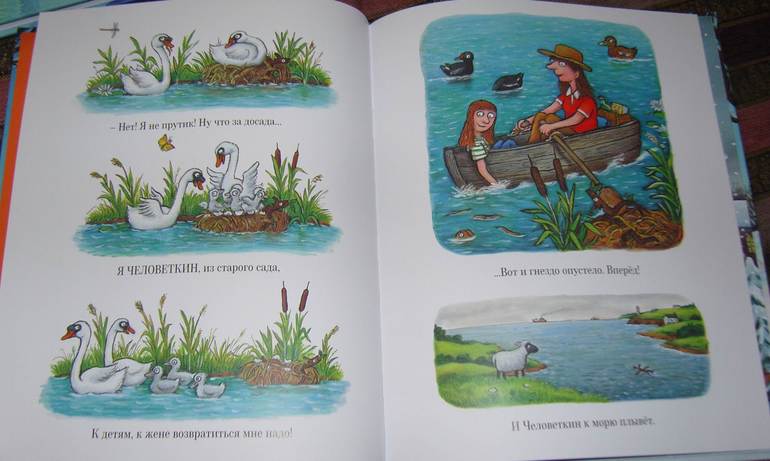 Книжное пополнение в январе!