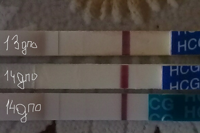 день Х... ломаем глазки))))