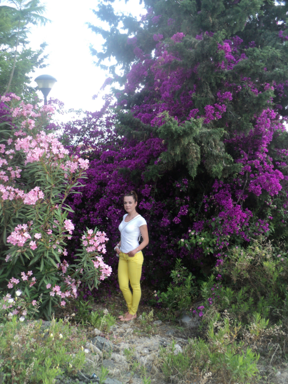 Снова в бой, с новыми силами!!