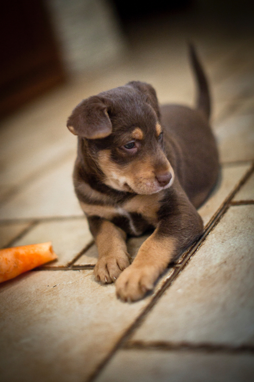 Супер-ребёнок