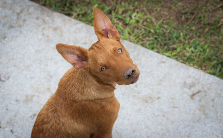 Привет из Перу