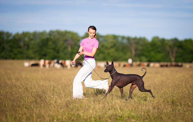 Тренировки в поле))