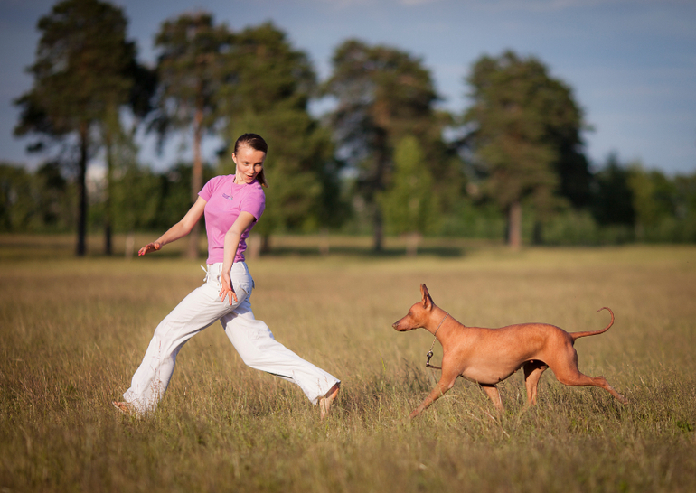 Тренировки в поле))