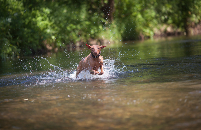 бесилки на водееее...