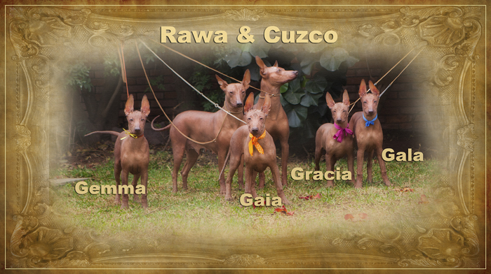 С Днём рождения, Гемма!!!