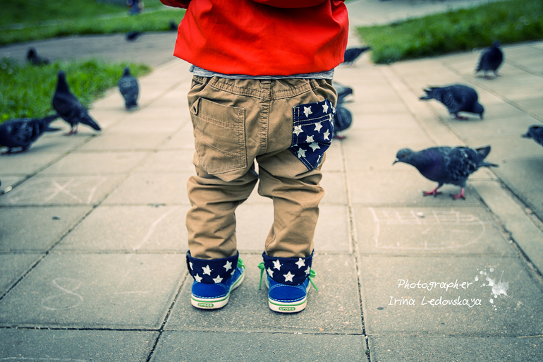 Конец лета, велосипед и голуби ...