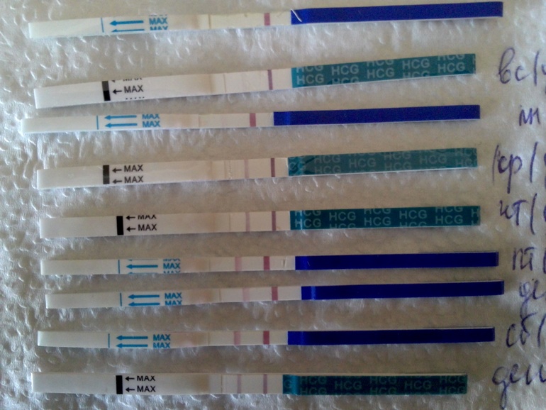 Мое сумасшествие и тесты