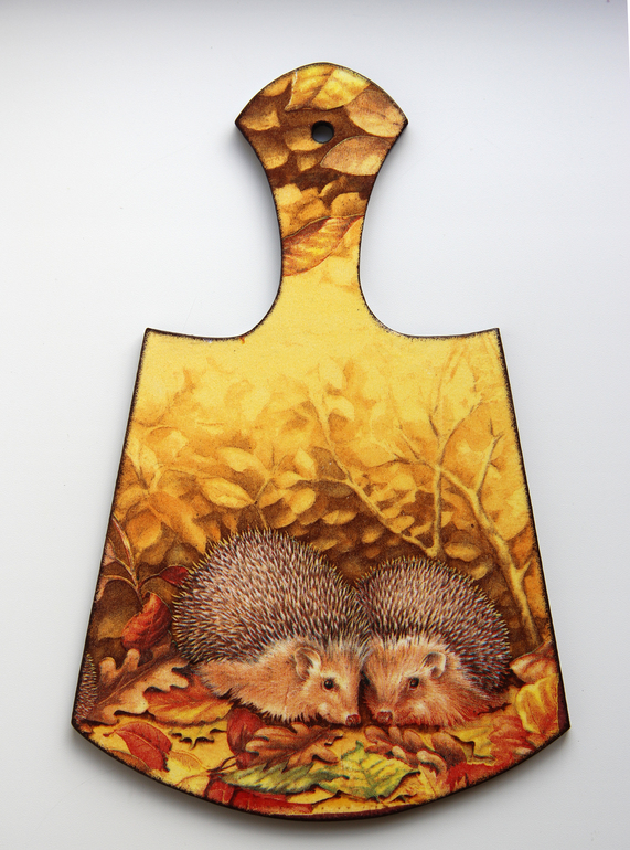 Досочки "Ёжики"