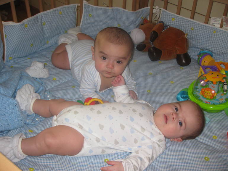 Марипупсики