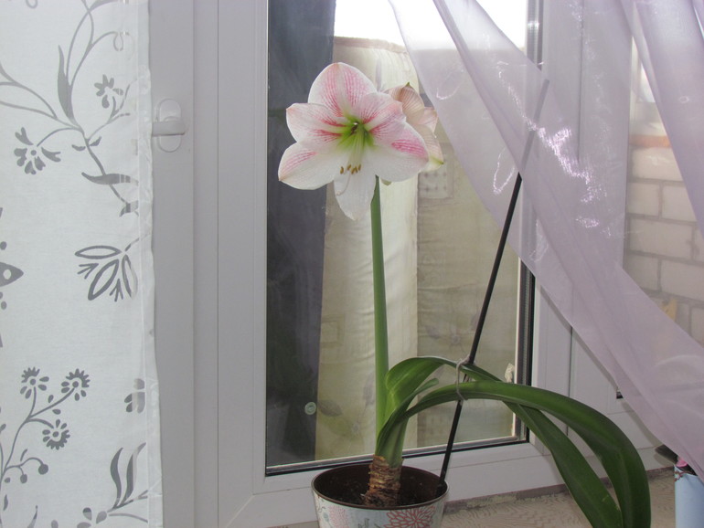 Приятная неожиданность!