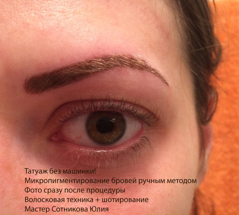 Мудрые фразы и цитаты о звездах. Обсуждение на Каланхоэ - применение в лечебных и косметических целях