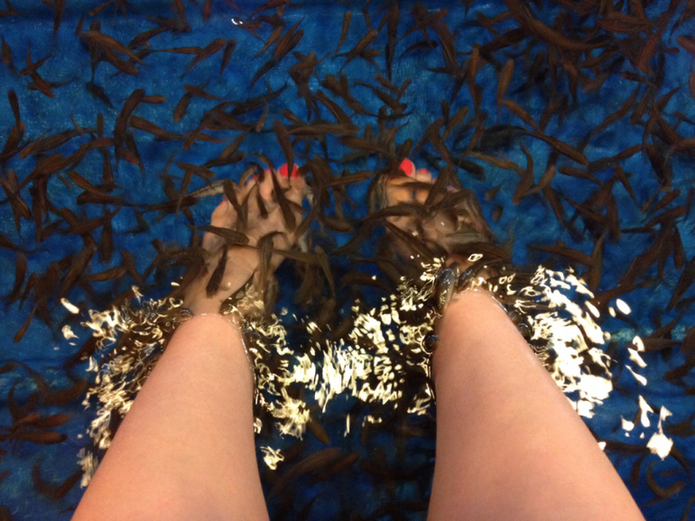 Рыбный СПА :))