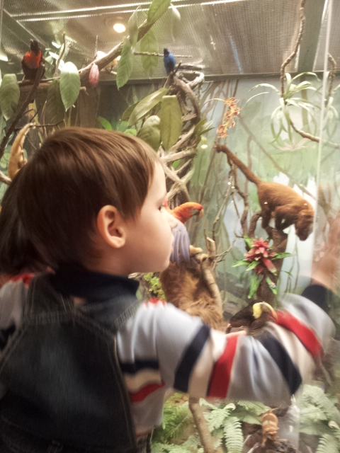 Музей Дарвина - мы там были - смотрите фото)))