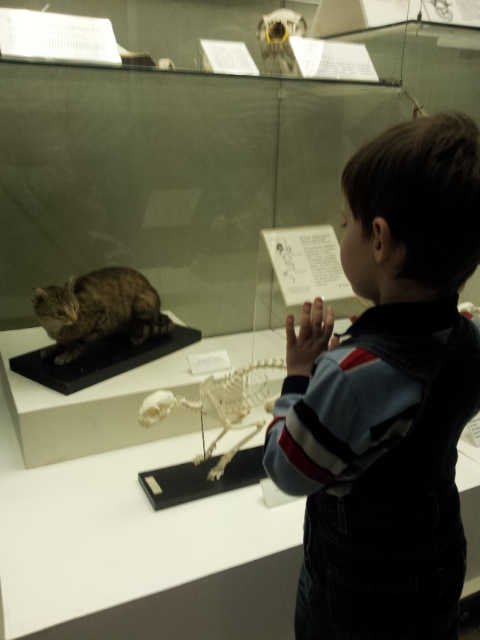 Музей Дарвина - мы там были - смотрите фото)))