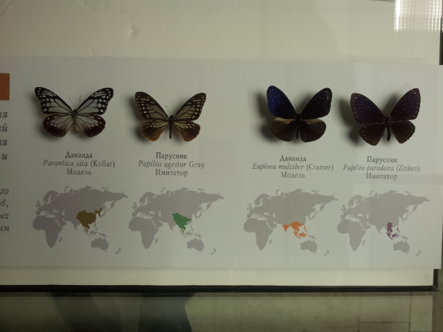 Музей Дарвина - мы там были - смотрите фото)))