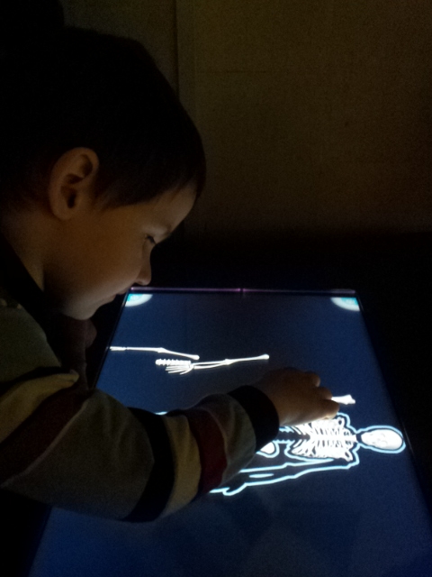 Музей Дарвина - мы там были - смотрите фото)))