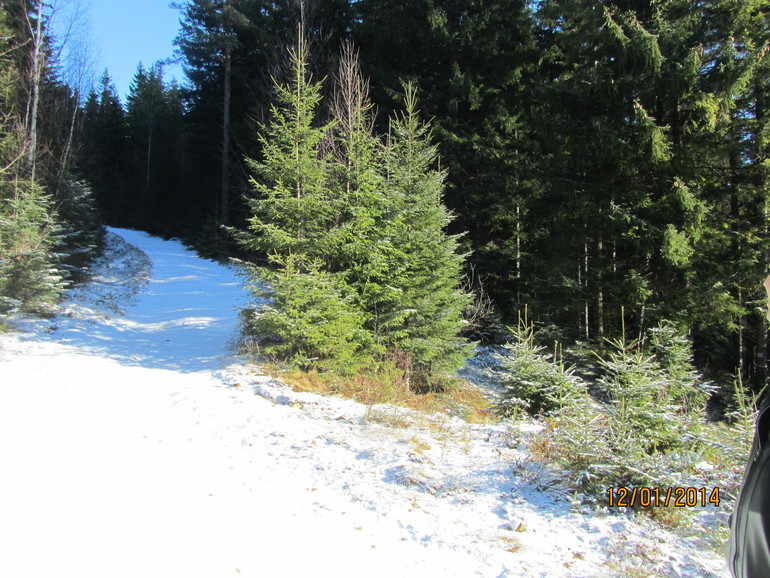 Рождественские каникулы. Карпаты. Часть 2