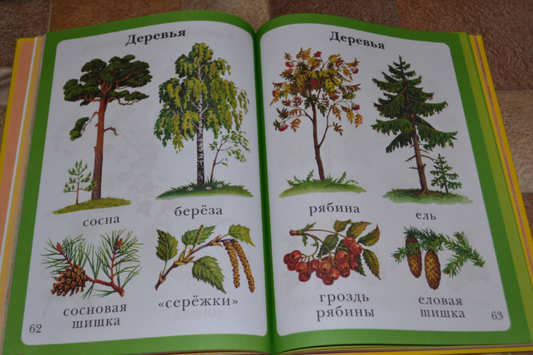 Развивающее пополнение))