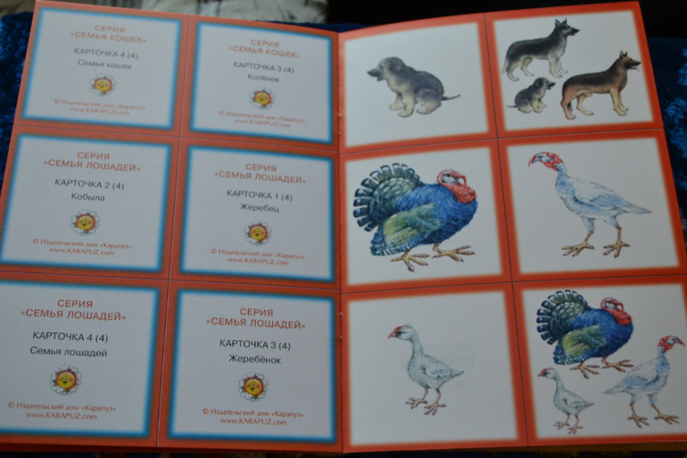 Развивающее пополнение))