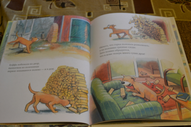 Наше книжное пополнение в 2 года