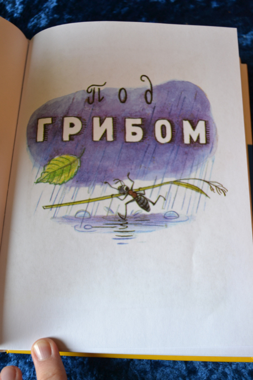 Дневник читателя июнь (сыну 2,0-2,1 г.)