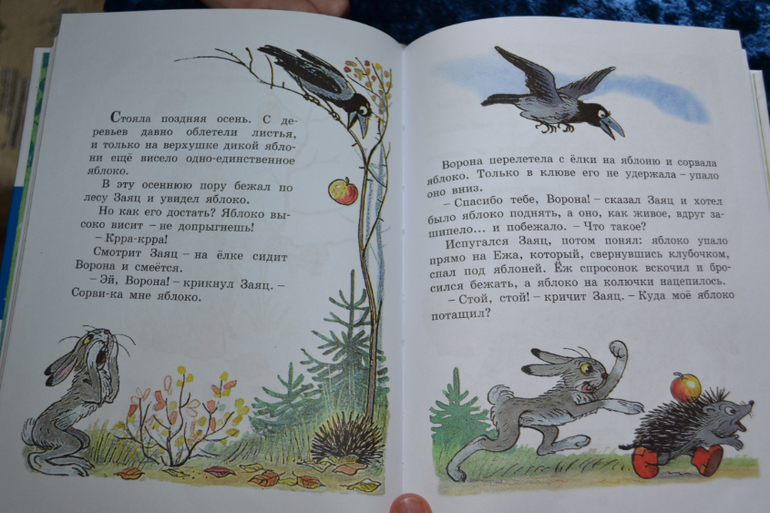 Дневник читателя июнь (сыну 2,0-2,1 г.)