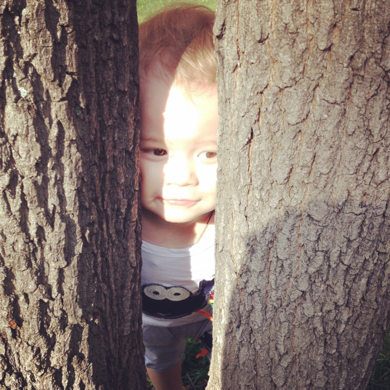 Фото с прогулок, часть 4