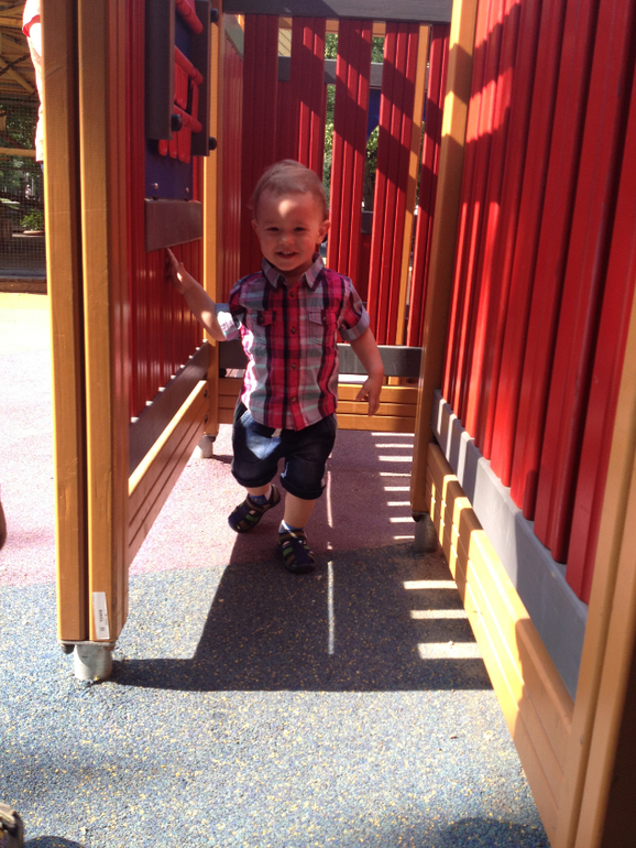 Фото с прогулок, часть 4