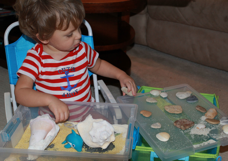 Наше знакомство с обитателями воды