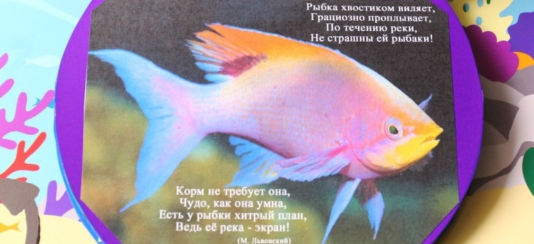 Книга о водных обитателях из картона