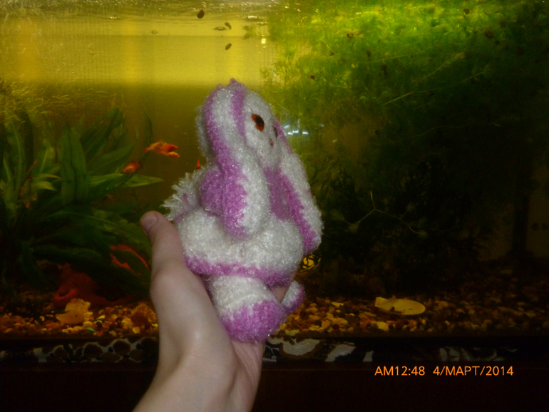 еще один зайка)