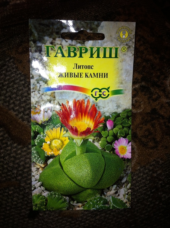 Накупила,буду сажать.