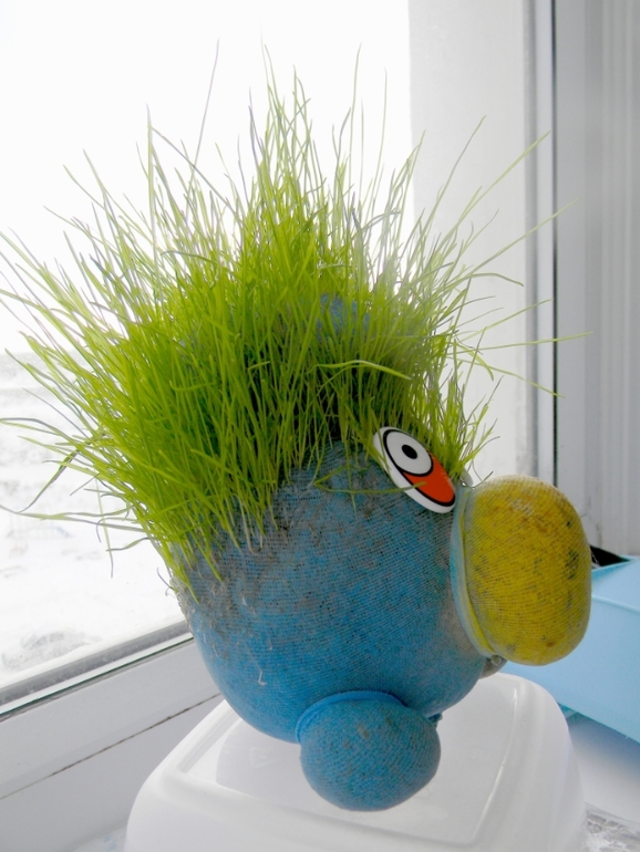 Савушкино увлечение и немного нас!