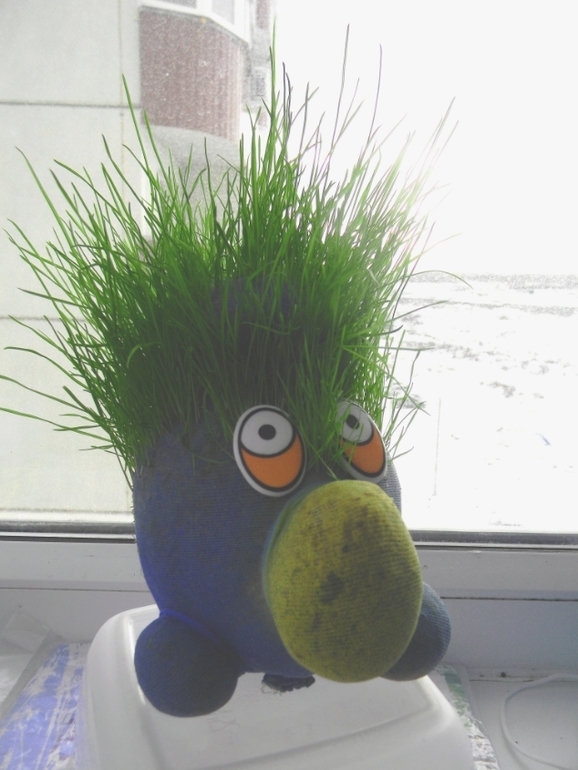 Савушкино увлечение и немного нас!