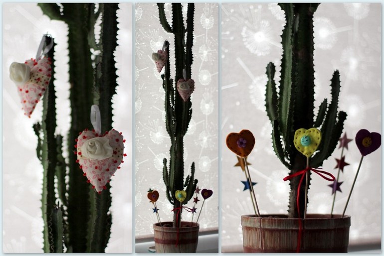 СердеШный кактус