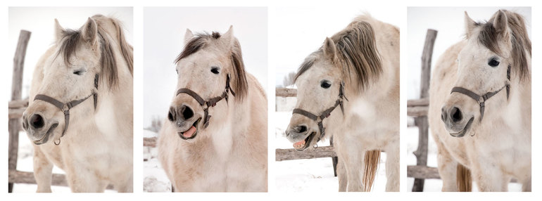 Но только лошади чихают вдохновенно :)))