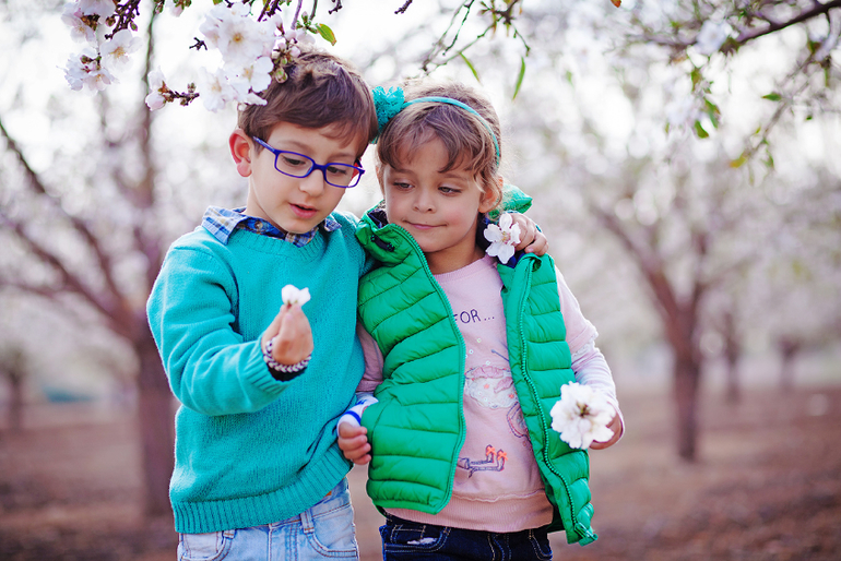 Цветет миндаль